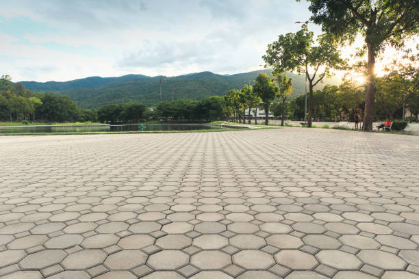 Best Driveway Pavers Near Me  in Elsa, TX
