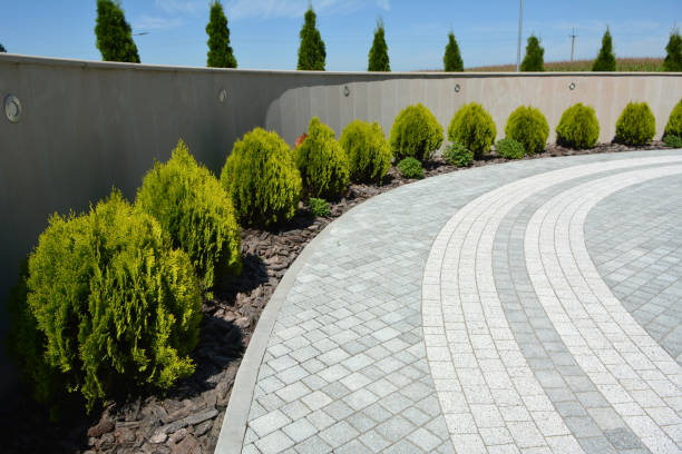 Reasons to Select Us for Your Driveway Paving Requirements in Elsa, TX