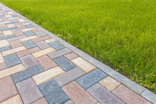Best Brick Driveway Pavers  in Elsa, TX